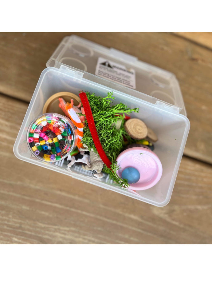 RTS Sensory Box